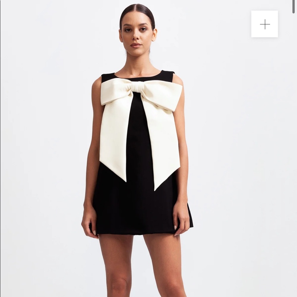 Sierra Darien Sleeveless Massive Ribbon Mini Dress- Black